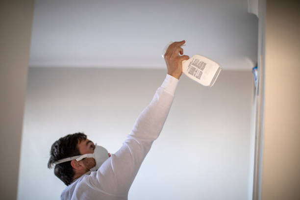Best Local Mold Removal Service  in Glennville, GA