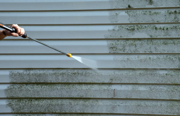 Professional Mold Removal in Glennville, GA