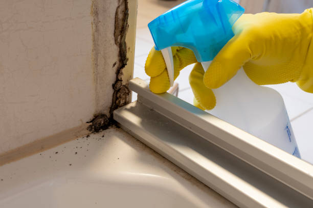 Best Office Mold Removal Services  in Glennville, GA