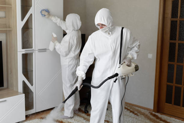 Best Attic Mold Removal  in Glennville, GA